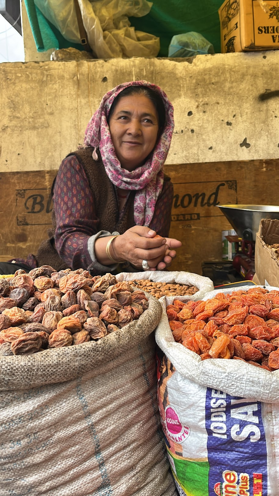 Ladakh Apricots in Leh Market