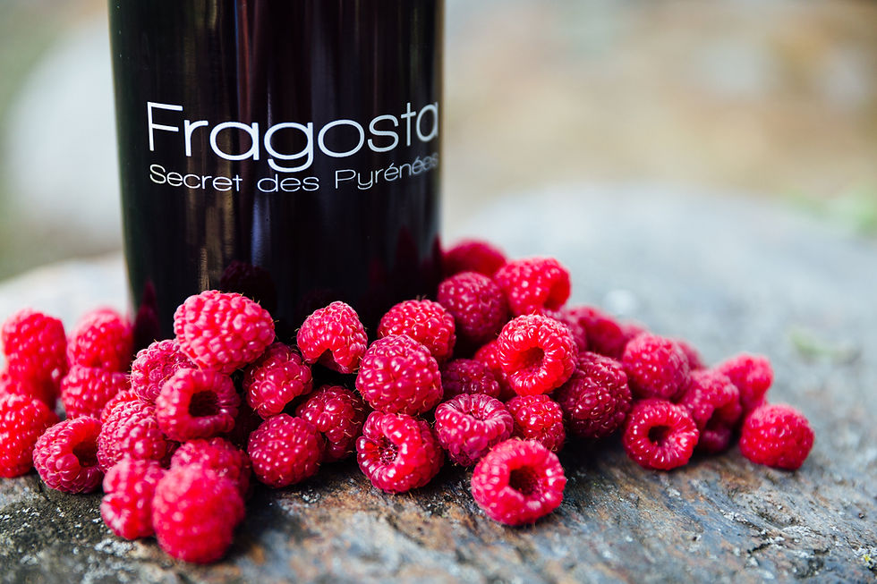 Miniature : FRAGOSTA ROSE 1 BOUTEILLE
