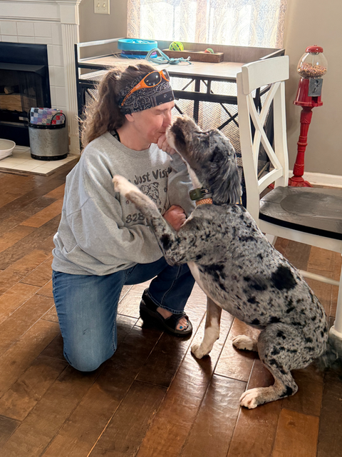 Woman kneels to kiss a spotted dog during home training