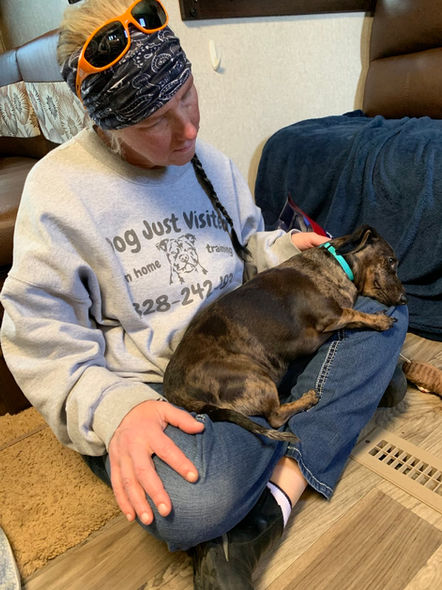 Woman petting sleeping dog, "dog just visited in home training" sweatshirt.