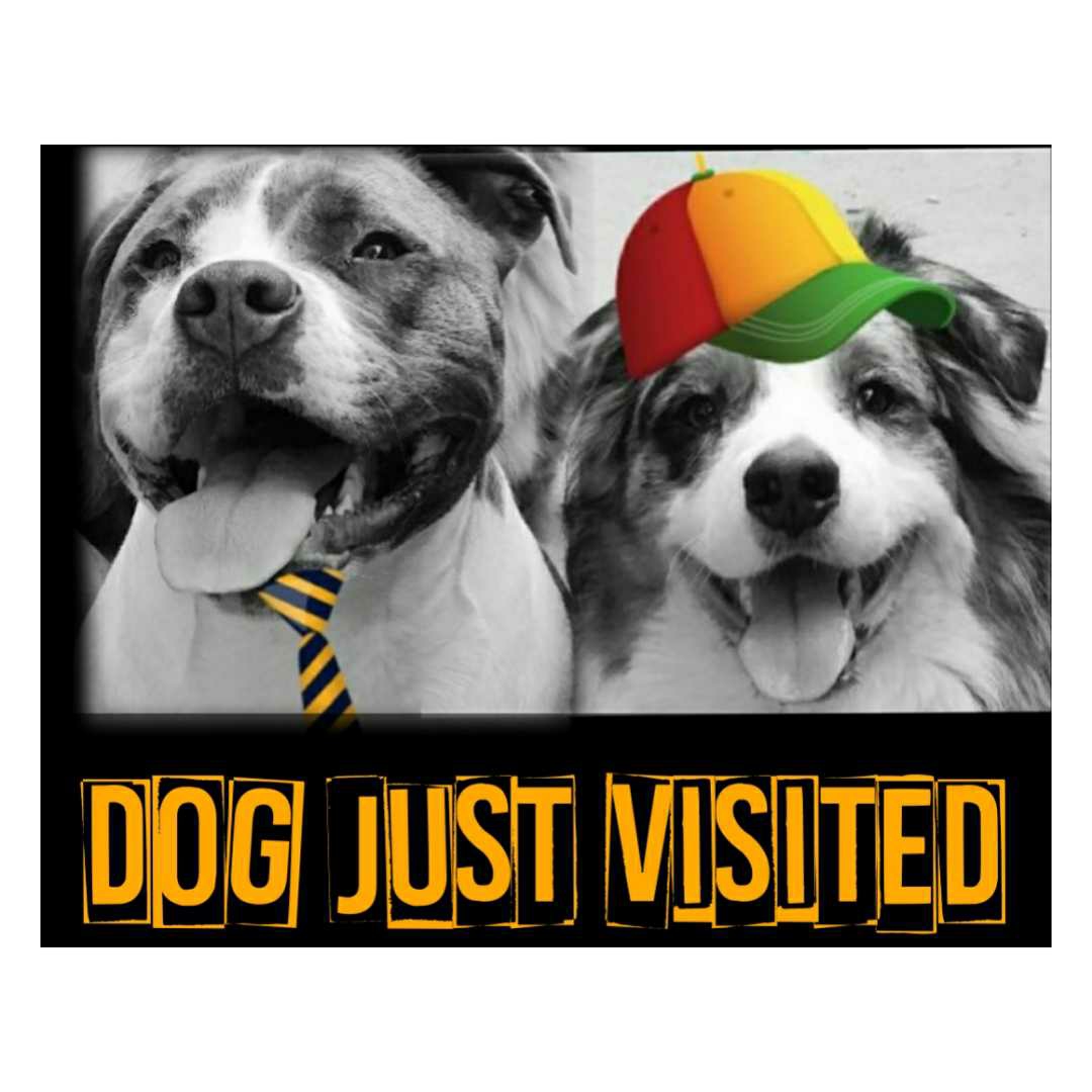 Writer: Dog Just Visited