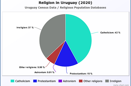 Religion in Afghanistan (2020).png