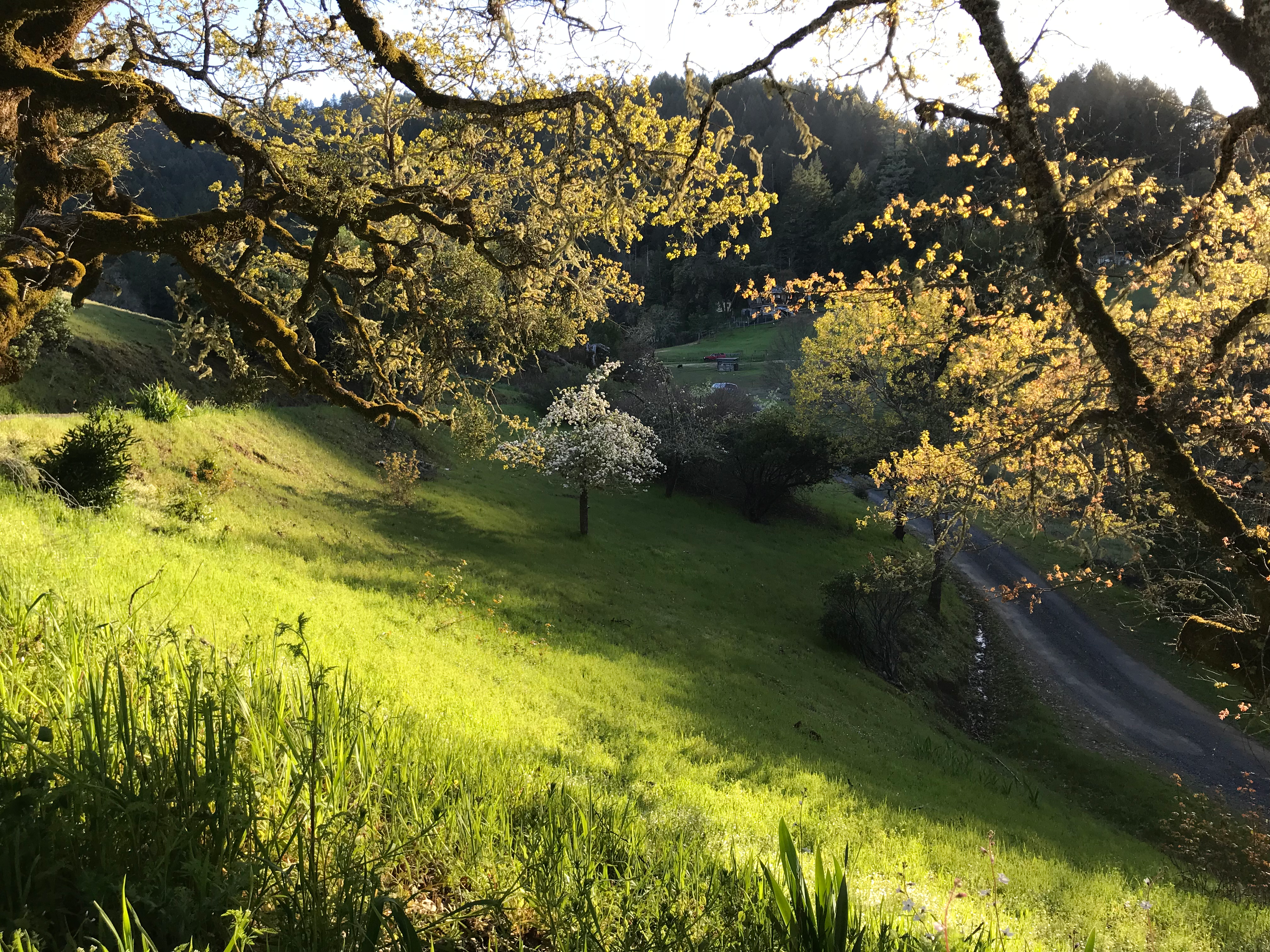 Can Nature Be One of Your Best Friends?