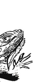 イグアナの筆アート