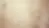 Humble Bee Therapies Background image.png