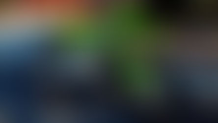 In arrivo una Kawasaki a 2 tempi!