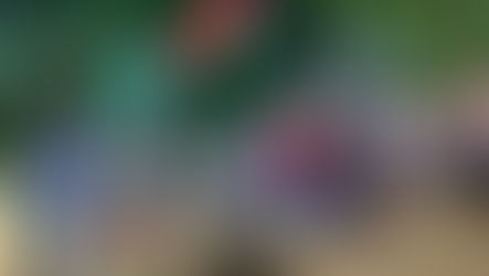 Sei Giorni day 3: i risultati