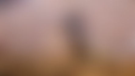 Le classi e le strategie delle squadre al Nazioni