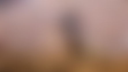 Le classi e le strategie delle squadre al Nazioni