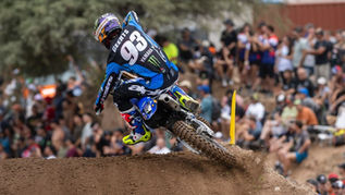 Beta punta all'ingaggio di Jago Geerts!