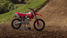 Il prezzo della Desmo250 MX standard e full optional