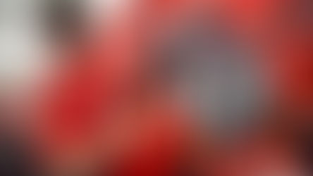 MXGP e poi National; l'estate "calda" di Tony Cairoli