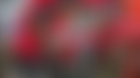 Perché il ghiaccio sulla Honda di Herlings?