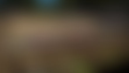 Programmazione e orari TV MXGP Argentina