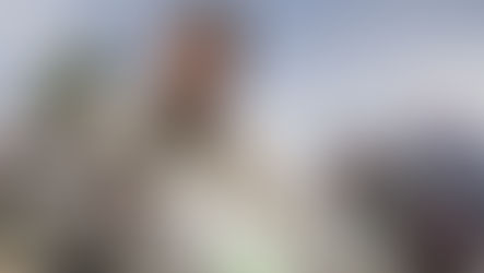 Aprilia Tuareg e Jacopo Cerutti conquistano l'Africa Eco Race 2024