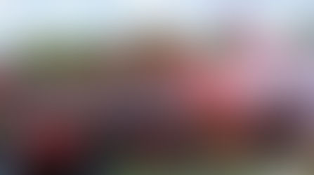 MXGP della Svizzera, come vederlo in TV