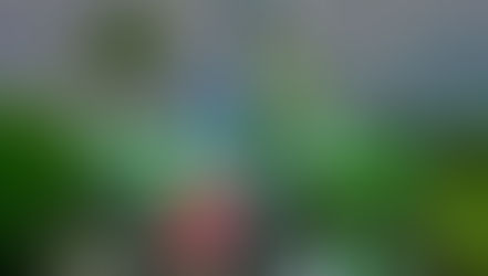 Ufficiale: Sexton è il nuovo pilota Kawasaki