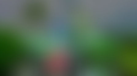 Ufficiale: Sexton è il nuovo pilota Kawasaki