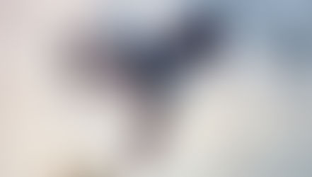 Triumph Italia lancia la promo "Full season spare kit"