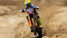 Cairoli: "Ho faticato, ma sono contento"