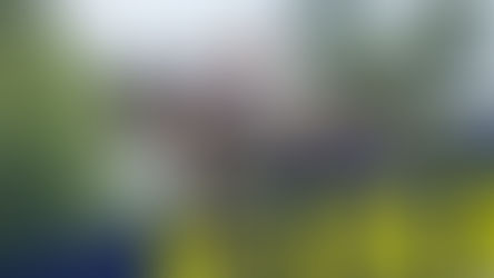 Come una molla può fare la storia: Jeremy Martin