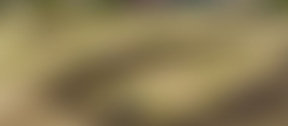 Torna Eicma Riding Fest; in prova anche le enduro