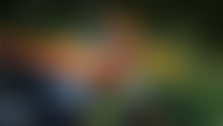 KTM aggiorna la Freeride E