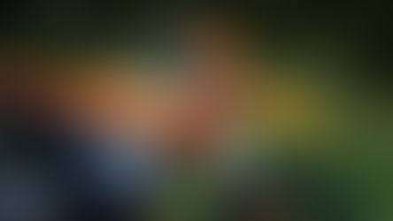 KTM aggiorna la Freeride E