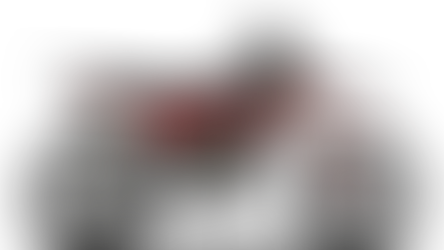 Ducati lancia la Desmo450 MX "Factory"