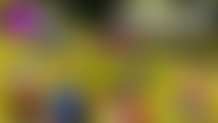 Video: mercato EnduroGP 2025