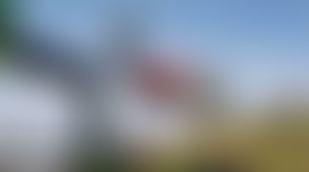 MXGP Svizzera: la prima di Vialle, ma che caos!