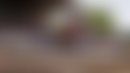 Italiano Prestige Montevarchi, i video delle gare