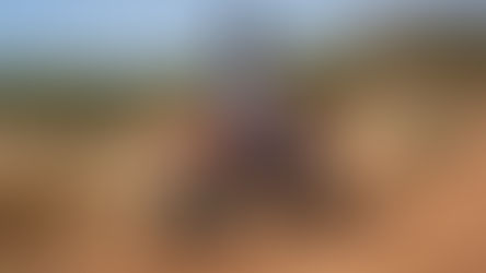 La Stark al Mondiale Supercross; la FIM dà l'ok