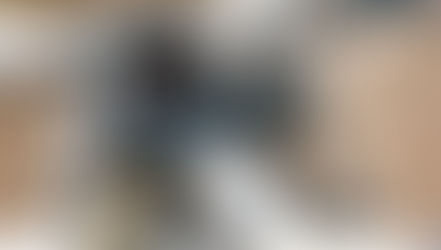 Anche Bolt ha il telaio nuovo (che però aveva già)