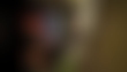 Grossi guai per Jason Anderson