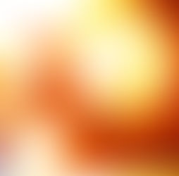 Ken Roczen: "Ora devo scendere in pista e vincere"