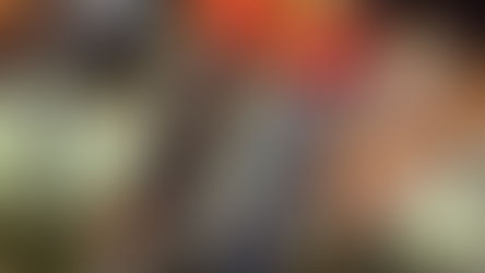 Nuova ginocchiera Acerbis Impact Pro