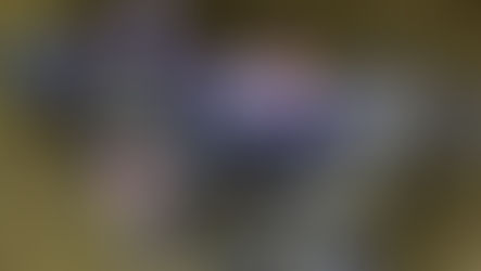 Video e classifiche Supercross Indianapolis