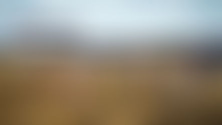 Programmazione TV MXGP a Riola Sardo