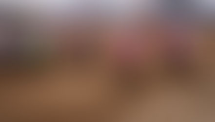 Elenco iscritti Prestige di Ottobiano