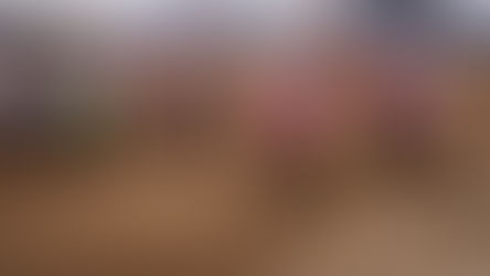 Elenco iscritti Prestige di Ottobiano