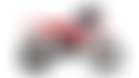 Honda lancia la CRF450RX Rally!