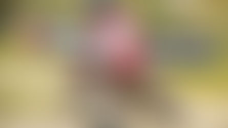 Assoluti: la prima di Norrbin e il ritorno di Freeman