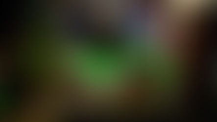 Kawasaki conferma Bacon per l'EnduroGP