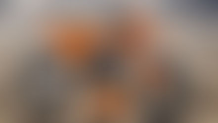 Bajaj è la nuova proprietaria di KTM