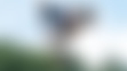 De Wolf in USA. Vacanza o futuro? Video