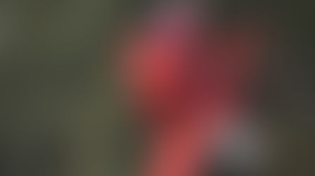 Steve Holcombe vicino alla Sherco?