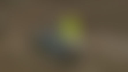 Esclusivo: l'airbag di Forkner si doveva attivare? Risponde Alpinestars