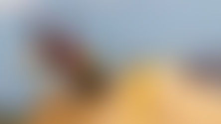 MXGP di Andalucia, la prima di Coenen e Mc Lellan