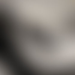 Nuova famiglia cruna catena Race di Acerbis